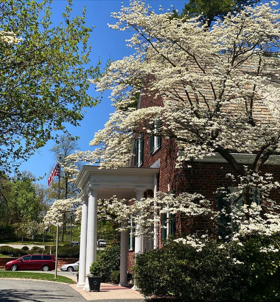 Women's Club - Glen Ridge Cleanliness