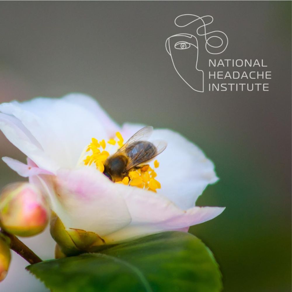 National Headache Institute - Coral Gables 440-5969the