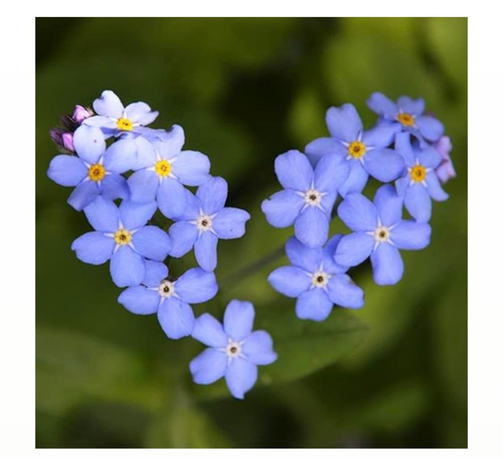 Minuteman Press - Houston Informative