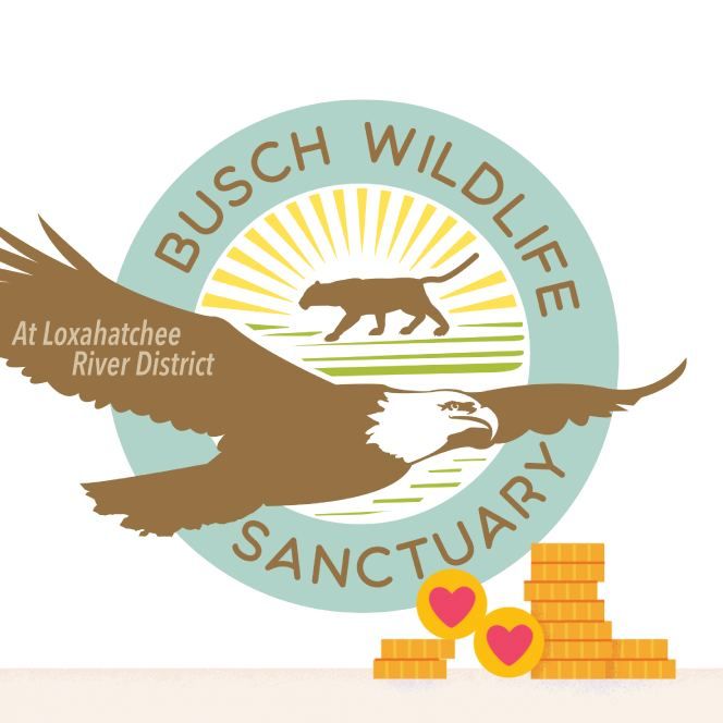Busch Wildlife Sanctuary - Jupiter Positively