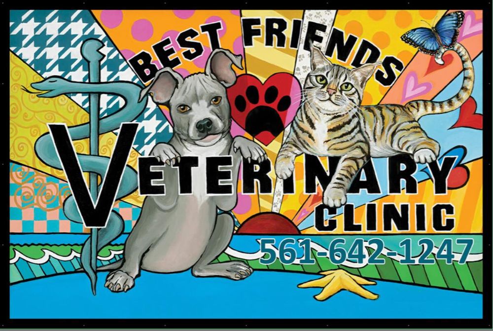 Best Friends Veterinary Hospital - Lake Worth Regulations