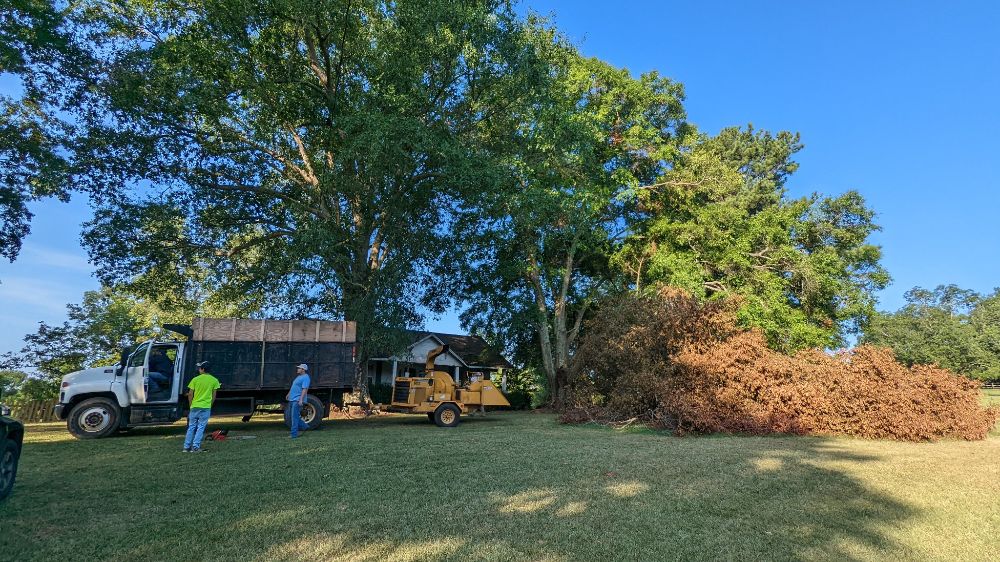 Dennis Tree Service - Montevallo Informative