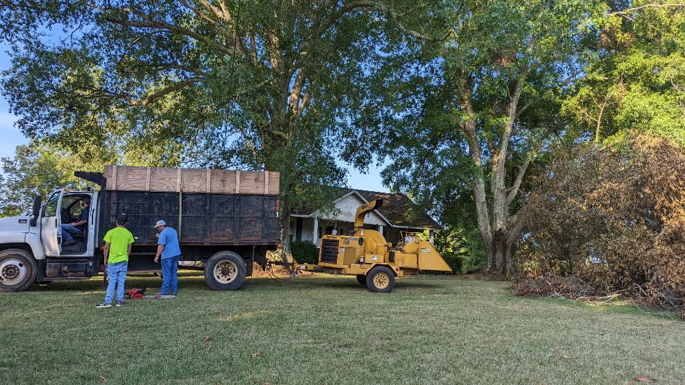Dennis Tree Service - Montevallo Wheelchairs