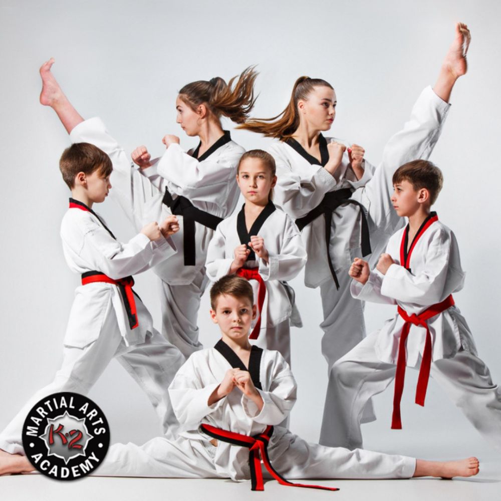 K2 Martial Arts Academy LLC - Springfield Combination
