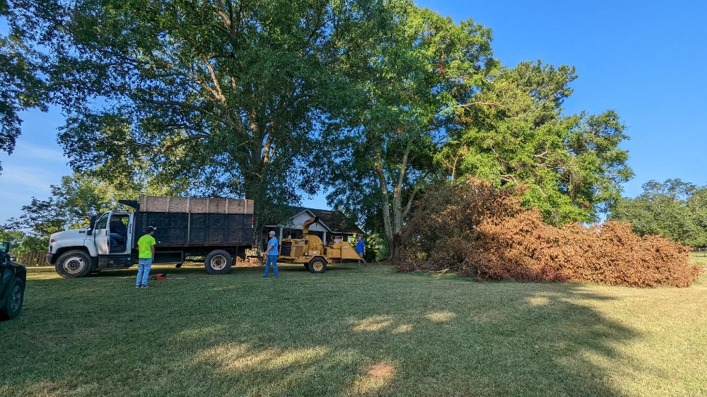 Dennis Tree Service - Montevallo Combination