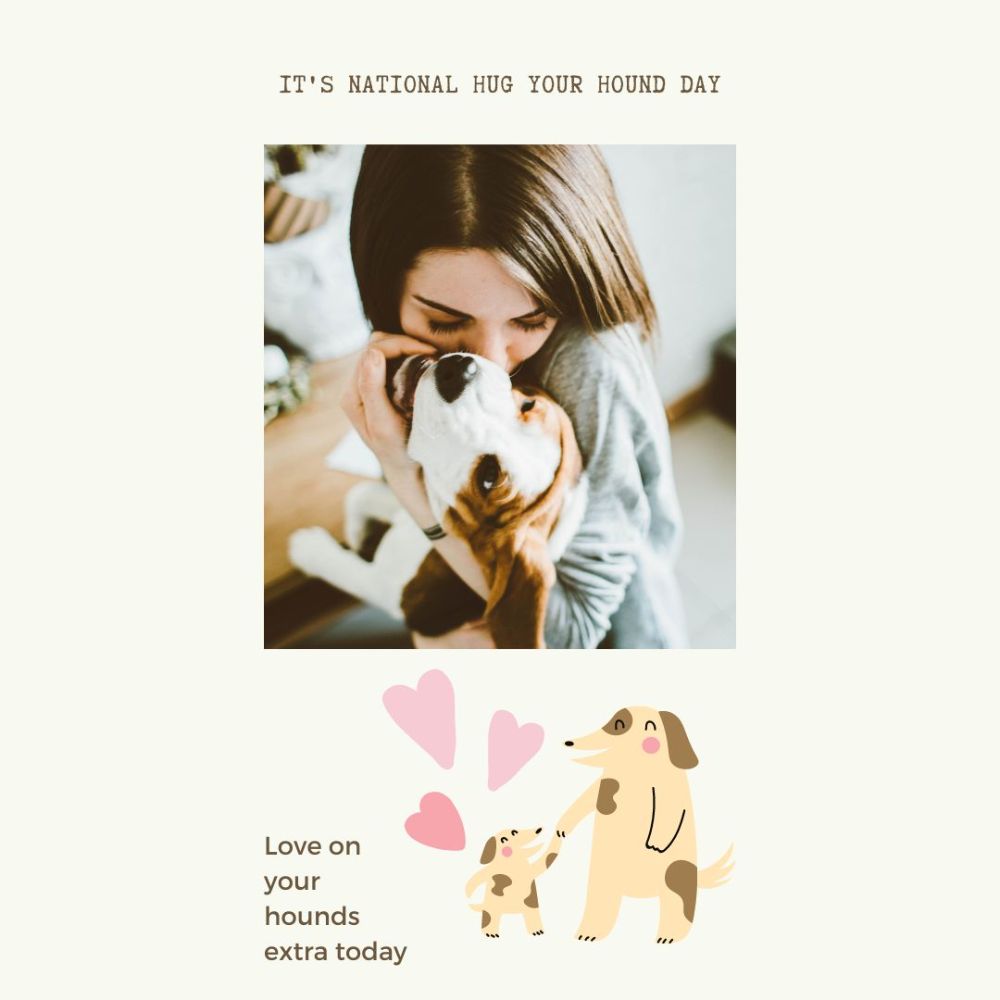 Veterinary Specialty Hospital - Palm Beach Gardens Informative