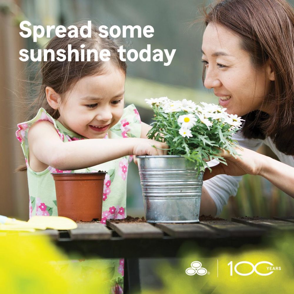 Veronica Edwards O'Brien - State Farm Insurance Agent - St Louis Clientele