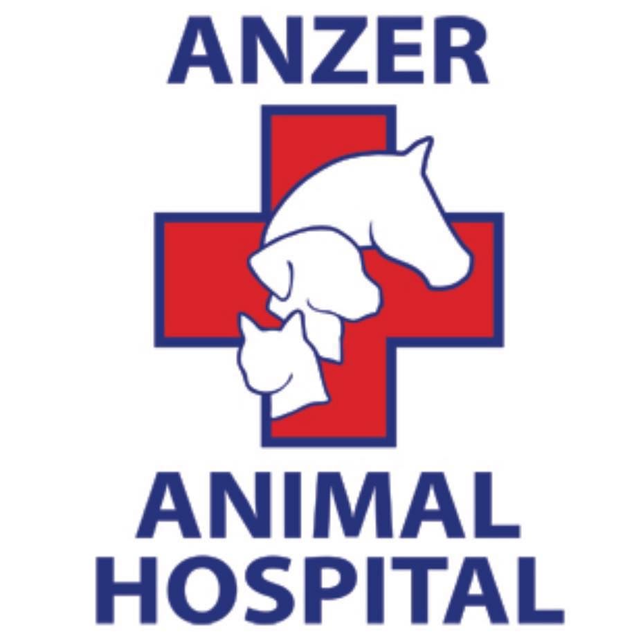 Anzer Animal Hospital - Loxahatchee Information