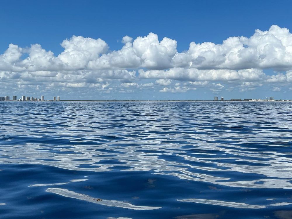 John D. MacArthur Beach State Park - North Palm Beach Informative