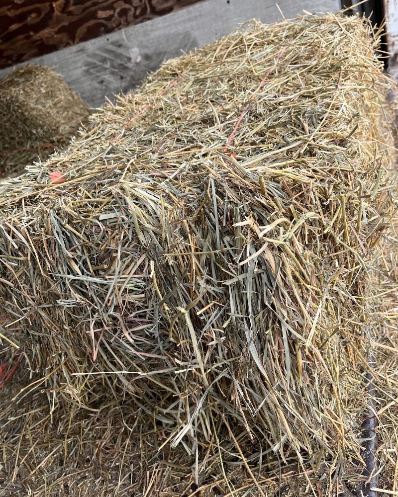 Southeast Hay Distributors - Riviera Beach Information