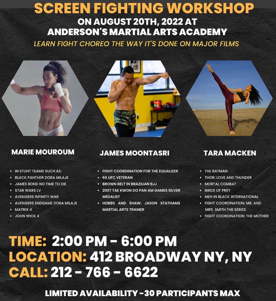 Anderson's Martial Arts Academy - New York Appearance