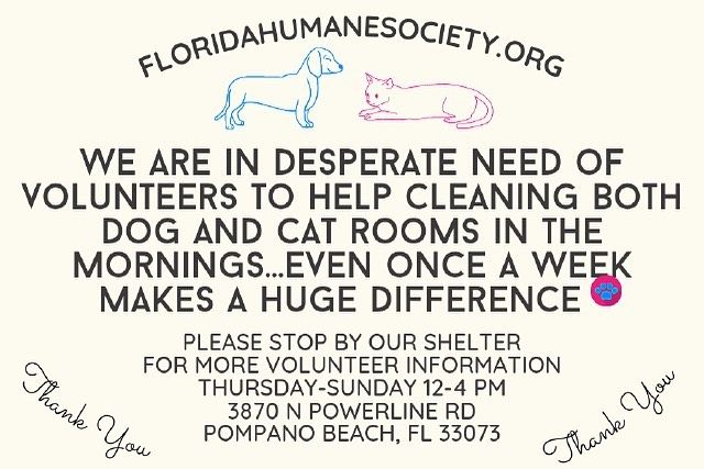 Florida Humane Society - Pompano Beach Positively