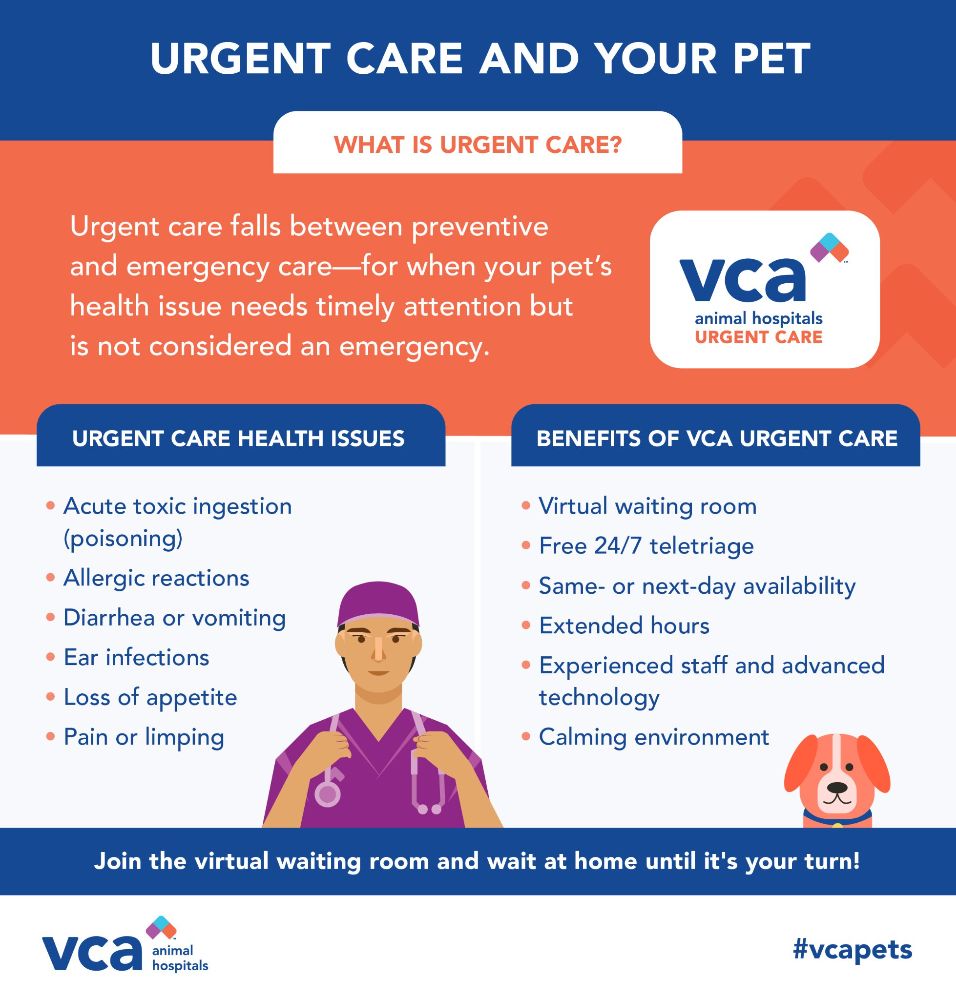 VCA Animal Hospitals - Fort Lauderdale Cleanliness