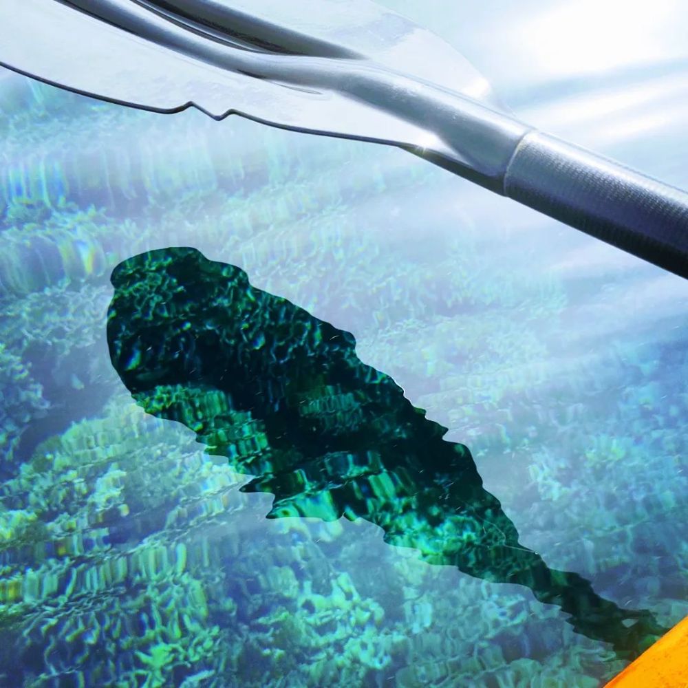 Karib kayak & Paddle Center. - Cartagena Documentation