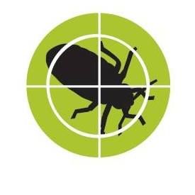 Michigan Bed Bug Specialists, LLC - DeWitt Combination