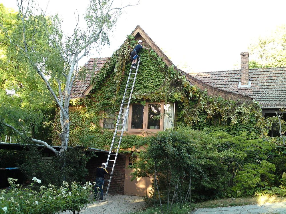 Gutter Cleaning Melbourne Wide - North Melbourne Convenience