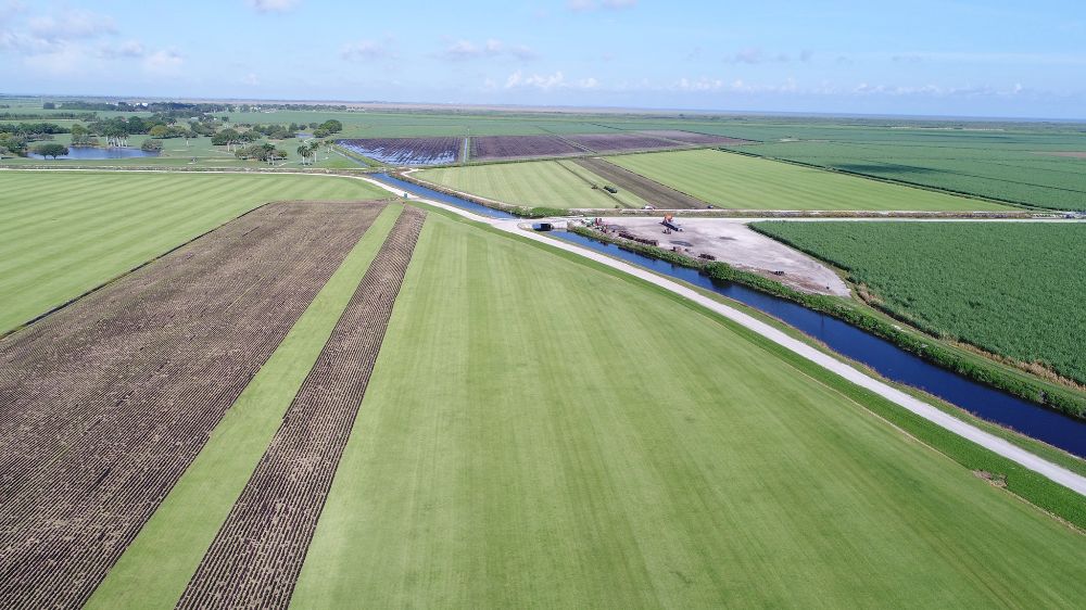 Turf Pro - Belle Glade Thumbnails