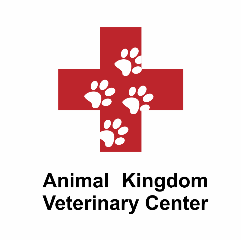Animal Kingdom Veterinary Center - Boca Raton Webpagedepot