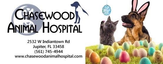 Chasewood Animal Hospital - Jupiter Examinations