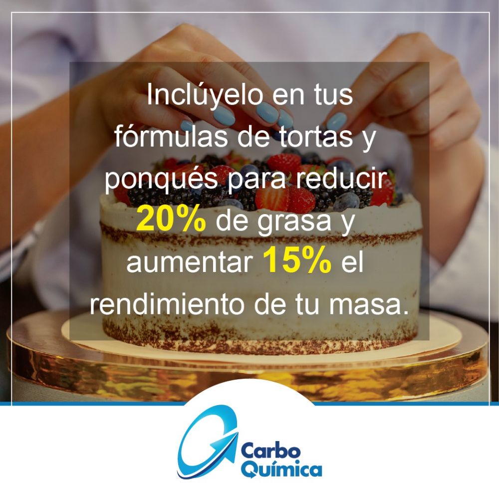 Carboquimica - Pasacaballos Informative