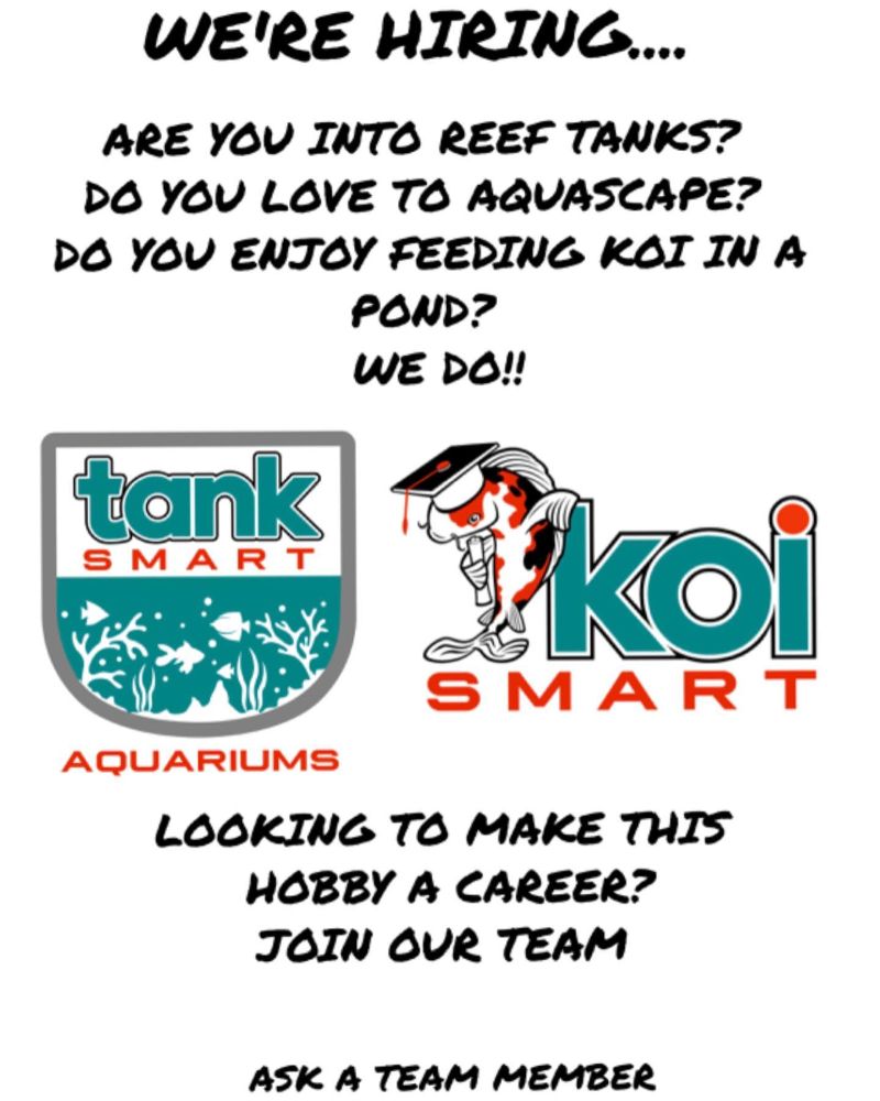 Koi Smart Pond Supply Store - Riviera Beach Wheelchairs
