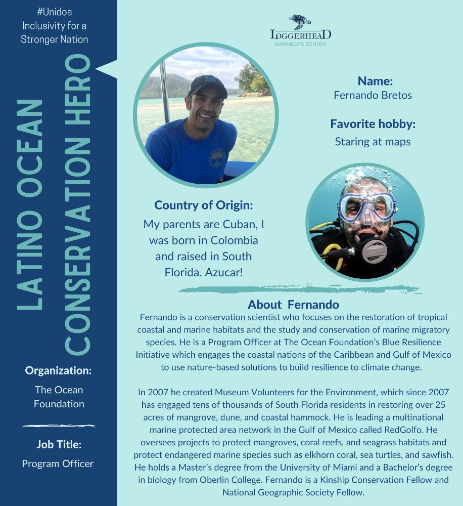 Loggerhead Marinelife Center - Juno Beach Contemporary