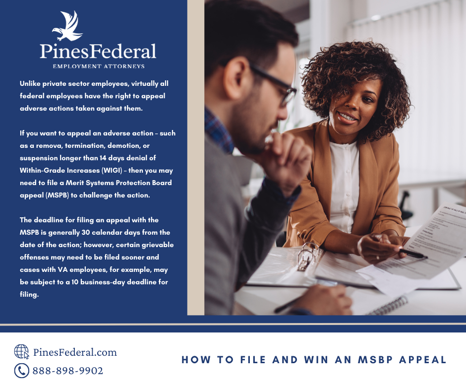 Pines Federal Employment Attorneys - Atlanta Employment