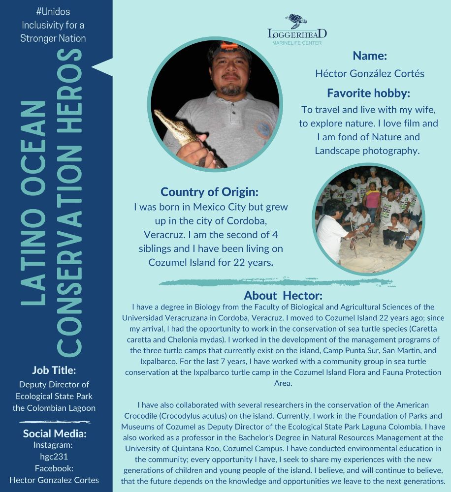 Loggerhead Marinelife Center - Juno Beach Informative