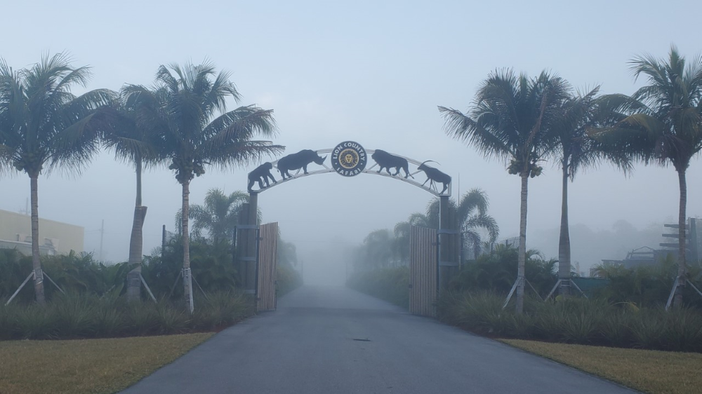 Lion Country Safari - Loxahatchee Individual