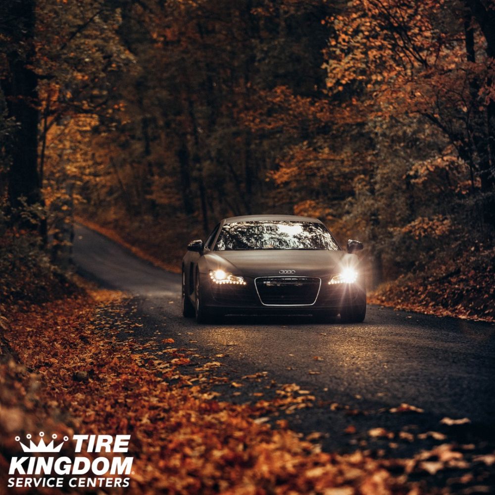 Tire Kingdom - Juno Beach Thumbnails