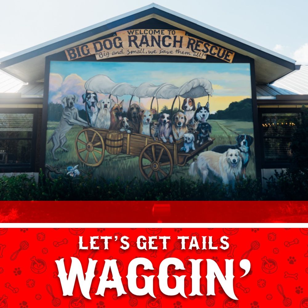 Earl Stewart Toyota - Lake Park Personnel