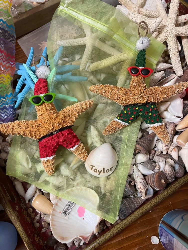 Deja New Gallery - North Palm Beach Environment