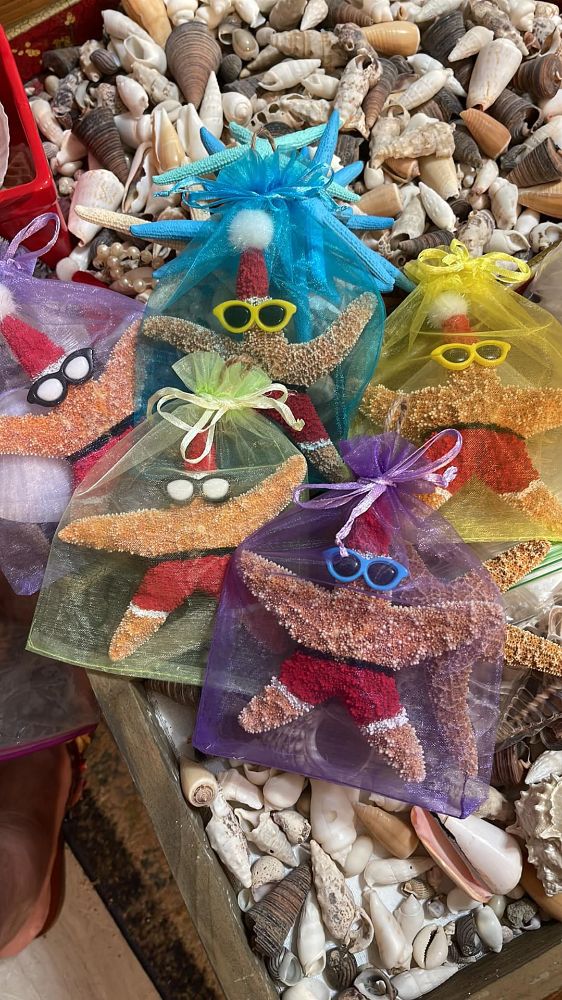 Deja New Gallery - North Palm Beach Reasonably