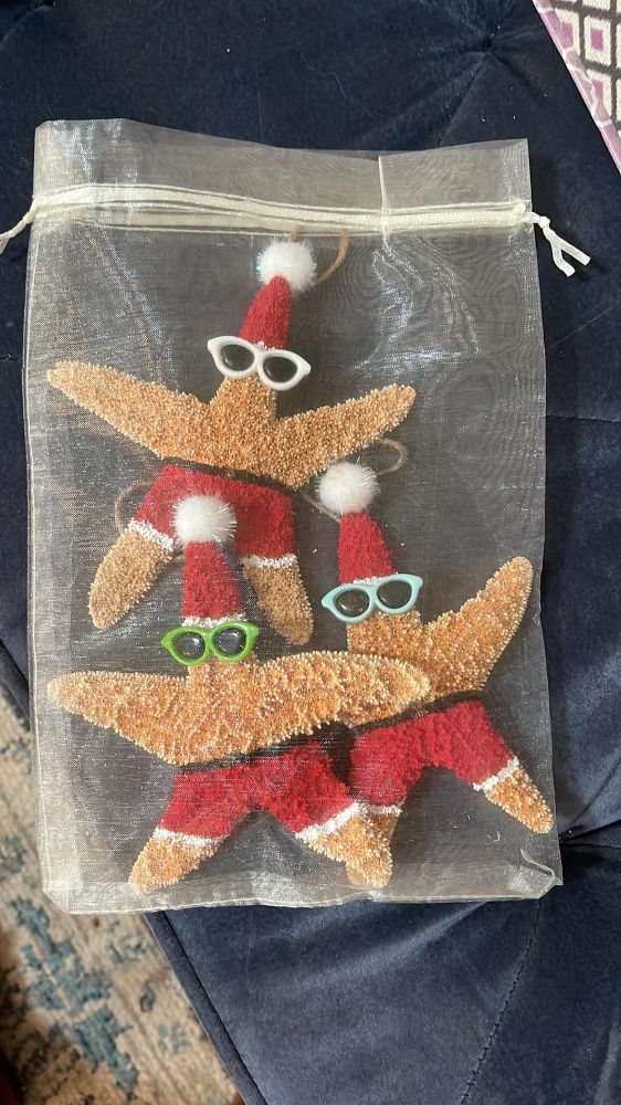 Deja New Gallery - North Palm Beach Enterprise