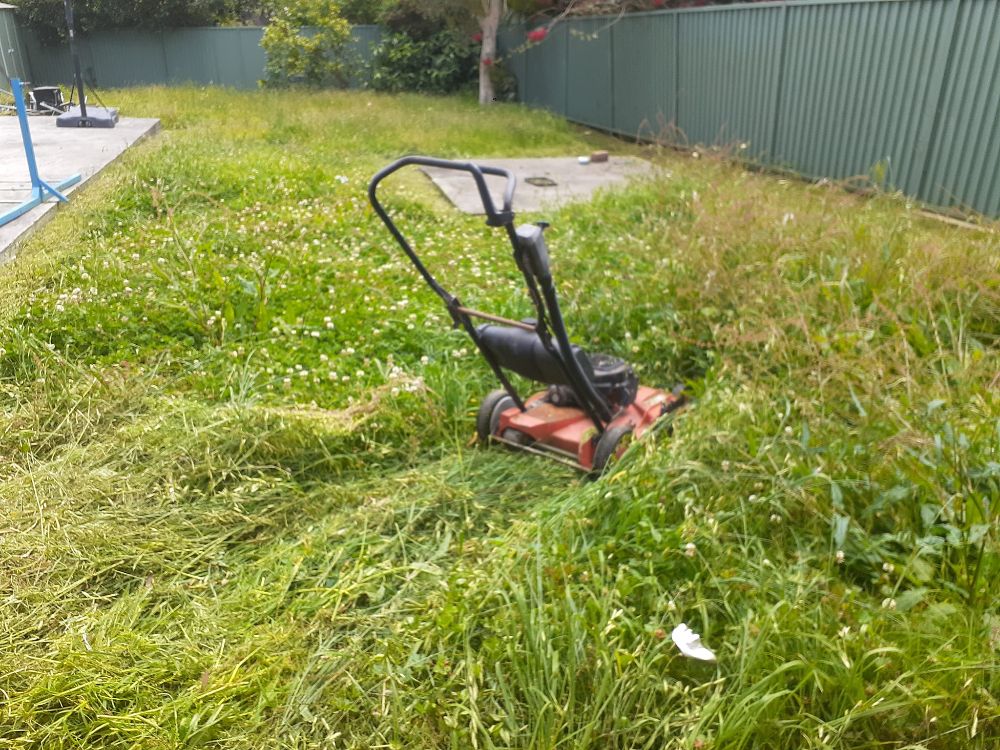 Morrison Property Maintenance & Landscape Group - Fowlerville Maintenance