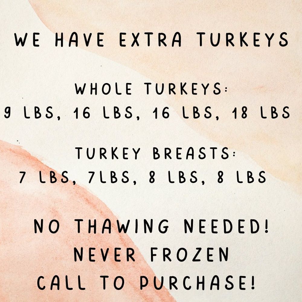 Cod & Capers Seafood Marketplace and Café North Palm Beach