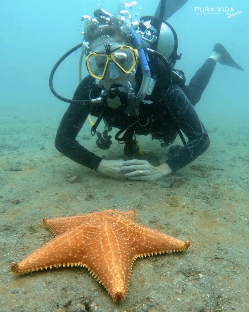 Pura Vida Divers - West Palm Beach Instruction