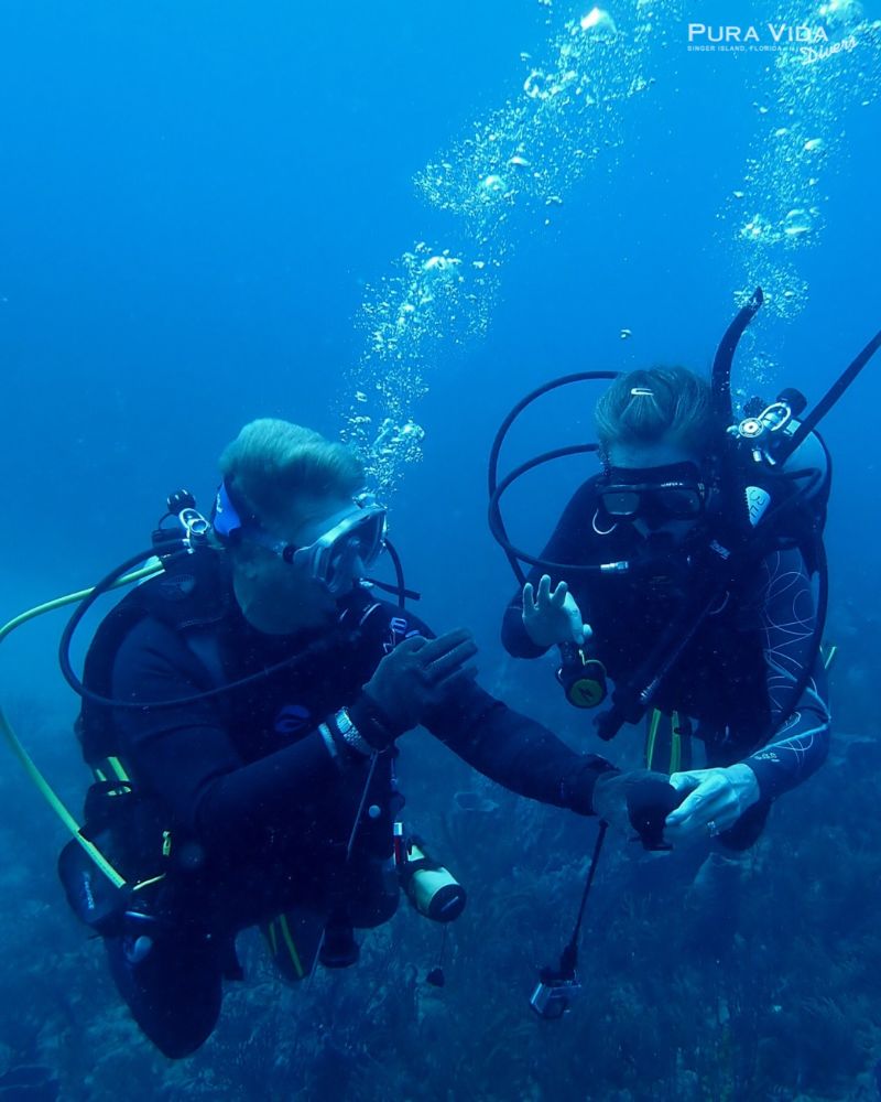 Pura Vida Divers - West Palm Beach Information