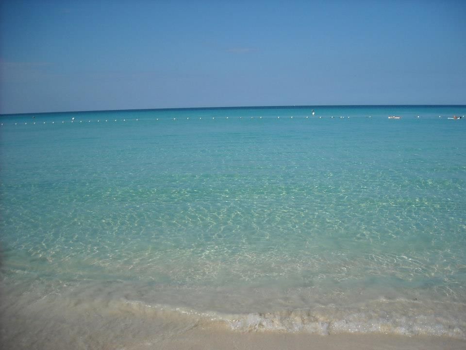 Debra Goldman Inc - Lake Park Cleanliness