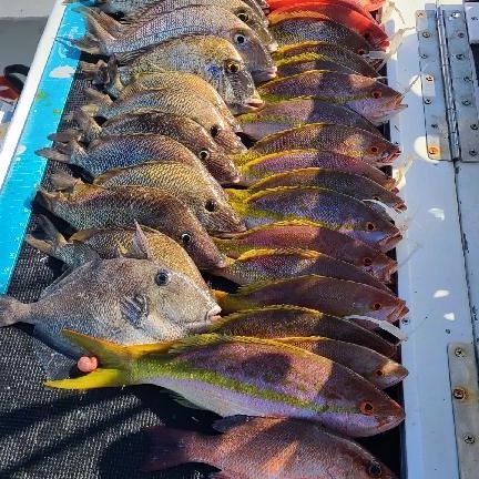 Sea Horse Fishing Charter Adventures - Riviera Beach Informative