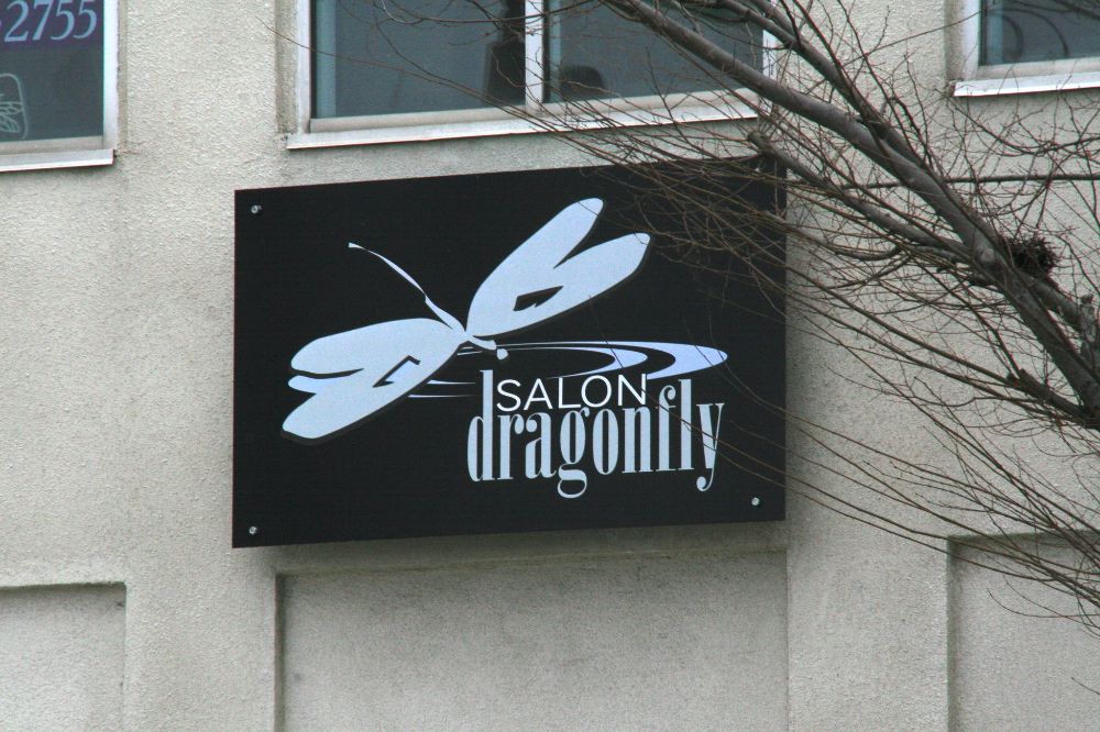 Salon Dragonfly Maintenance