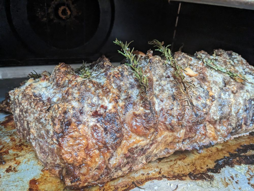 Ebony & Vine - Conifer Wheelchairs