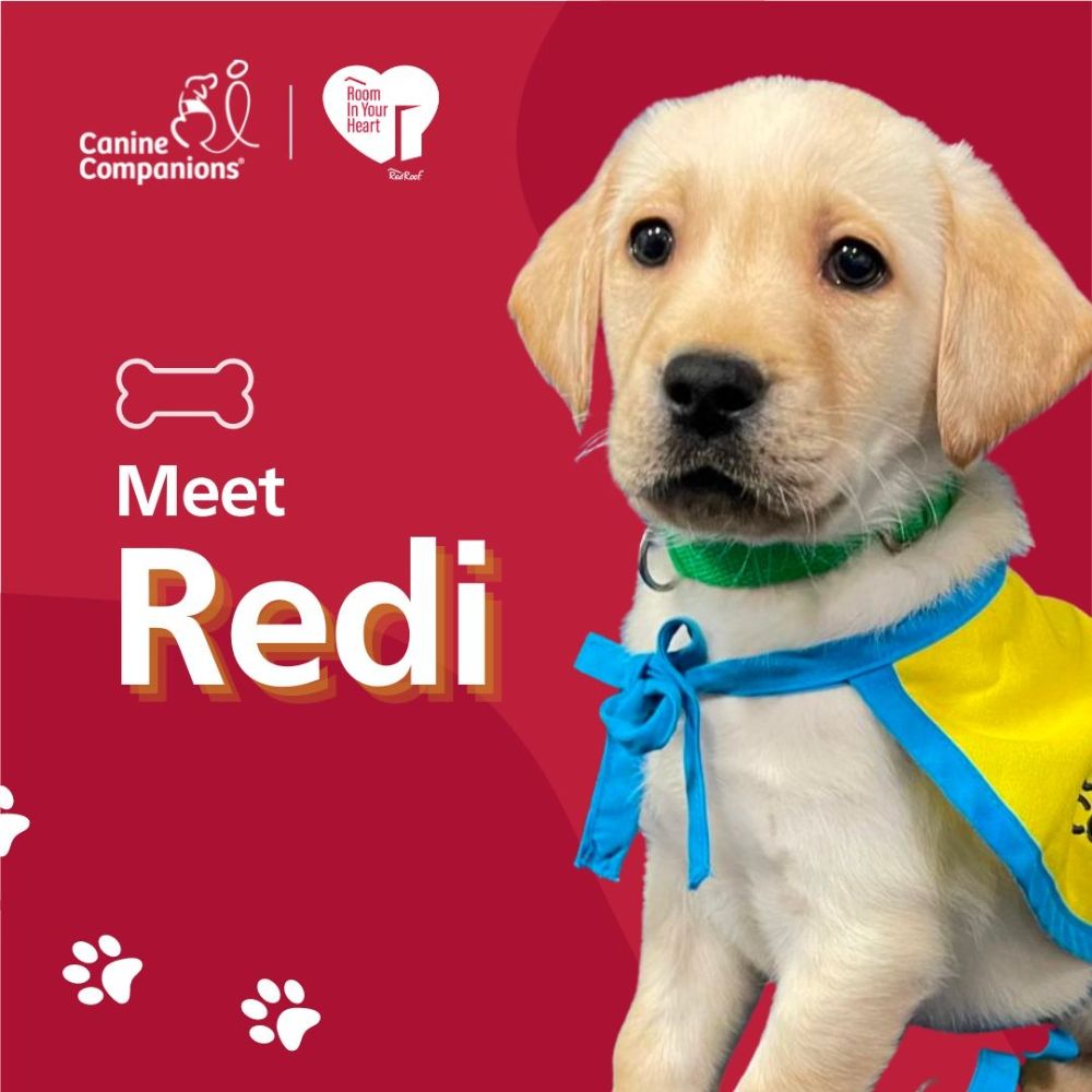 Red Roof Inn - Baldwin Information