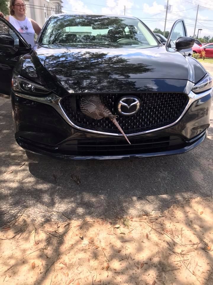 Mack's Auto-tech - Crestview Thumbnails