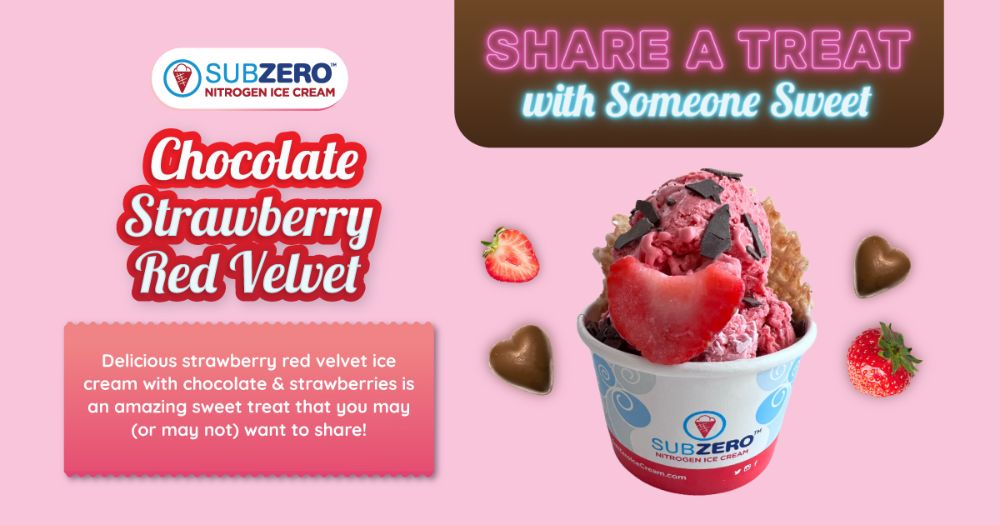 Sub Zero Ice Cream & Yogurt - Naples Combination