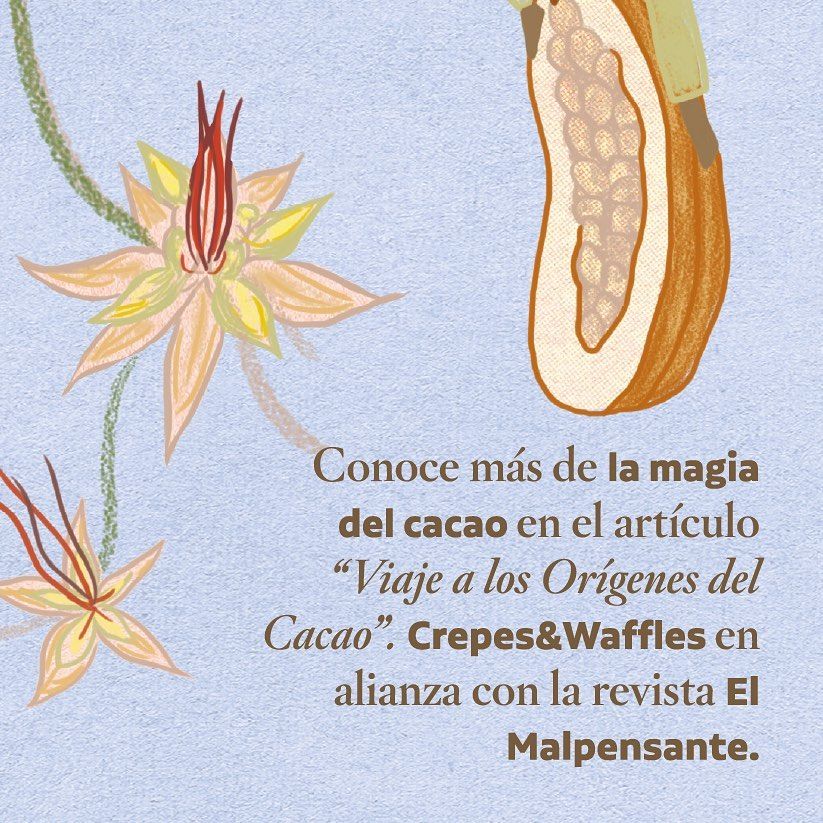 Crepes & Waffles Centro Comercial Caribe Plaza Cartagena Restaurant
