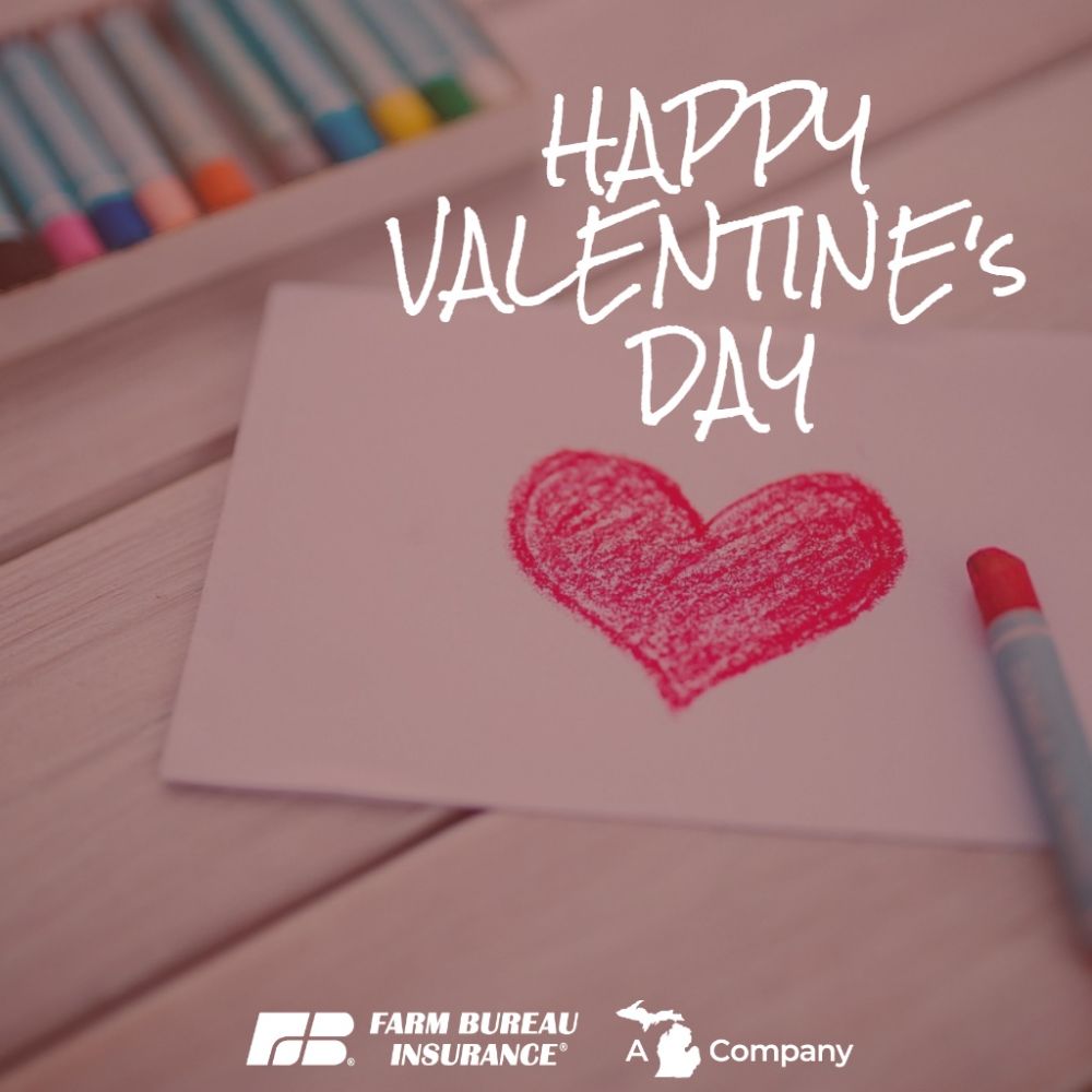 Farm Bureau Insurance - Tim Heffner Agency - Allegan Wheelchairs