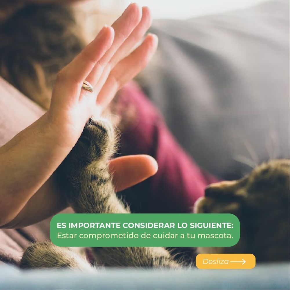 DROGUERIA VETERINARIA LTDA. Sede Bosque - Cartagena Information