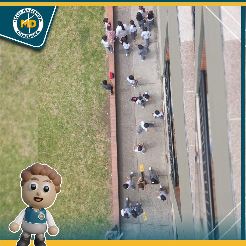 Institución Educativa Rosedal - Cartagena Wheelchairs