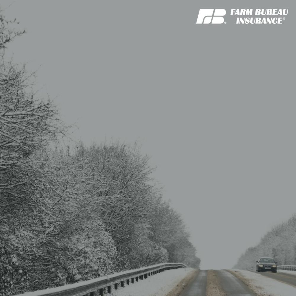 Farm Bureau Insurance - Tim Heffner Agency - Allegan Insurances